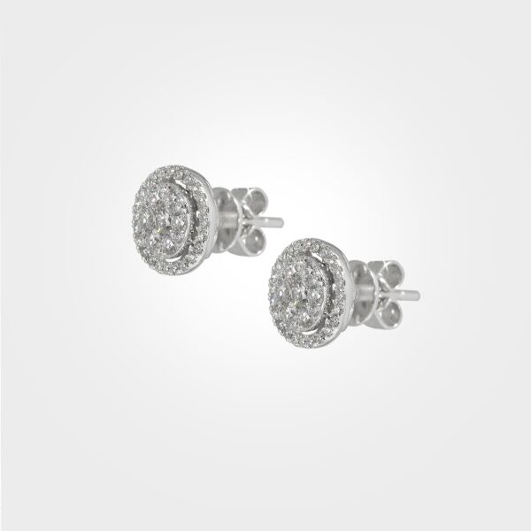 ER2793-